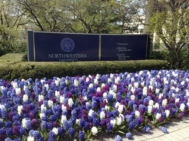 Northwestern essay prompt 2013